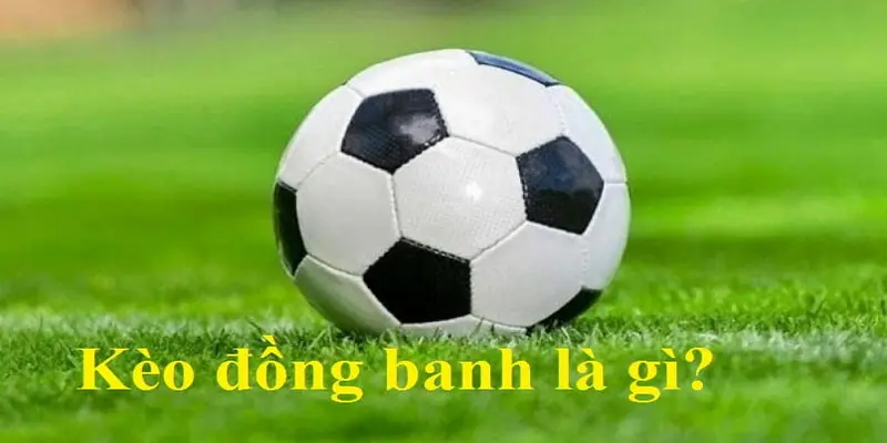 Kèo chấp đồng banh tại 8XBET, lựa chọn cược hấp dẫn với cơ hội thắng cao cho người chơi.